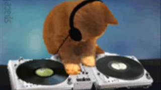 Download lagu Dugem - Kokok Ayam mp3 Download lagu Dugem - Kokok Ayam mp3