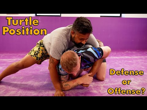 Offensive Turtle: Piss off your training partners by tapping them from a 'defensive position'