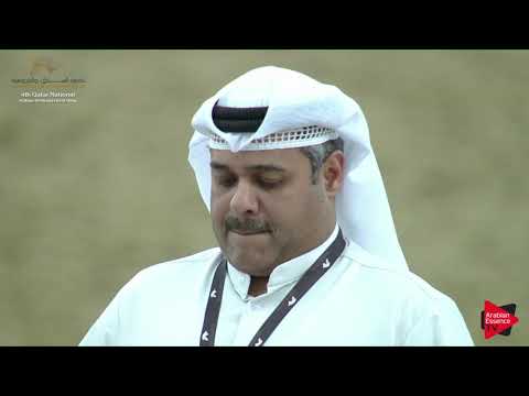 N.90 JAMEH AL REEH - 2019 Qatar Nat. Peninsula show - Yearling Colts (Class 4B) .mp4