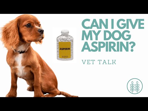 Can I give my dog aspirin?