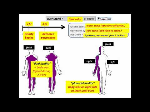 Pre-Lab Examples for Rigor and Livor Mortis