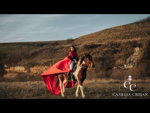 Camelia Crisan - Inima nu ma lasa