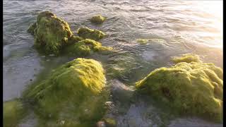 Download lagu I A ROKO NGAI (KARAOKE) mp3 Download lagu I A ROKO NGAI (KARAOKE) mp3