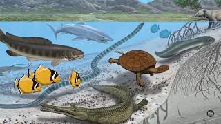 The Sahara Desert Was Once Filled With Sea Life (That Survived Two Mass Extinctions)