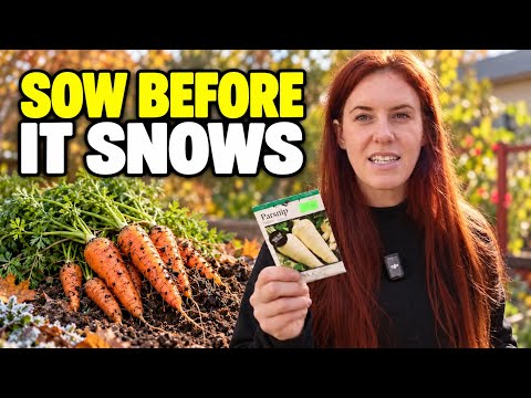 Plant These Veggies Now to Prepare for Winter! ❄️
