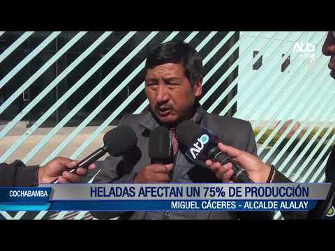 Heladas afectan el 75% de la producción agrícola en Alalay