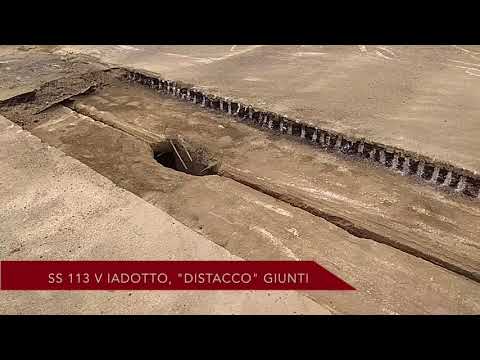 Fa olio di squalo per le articolazioni Spostamento della vertebra toracica