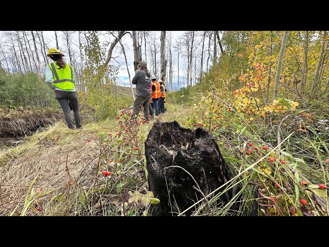 Video: East Troublesome Fire Watershed Recovery: 5 Years Later