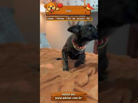 Vídeo de Yuki 
