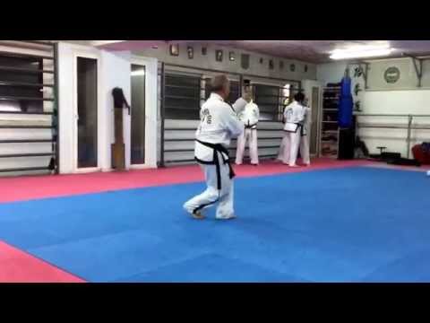 Master Vasilis Alexandris: Se-Jong Tul