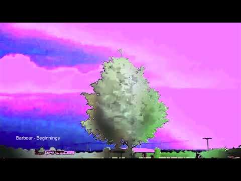 Barbour -  Beginnings (Tour De Traum XV)