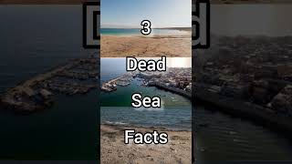 The Dead Sea - Israel 🇮🇱