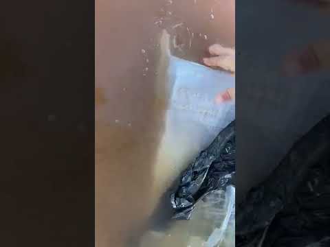 Droga flotando en el río Paraná, Corrientes 1