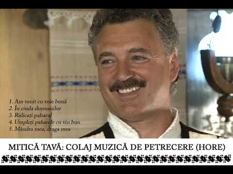 Mitica Tava - Colaj muzica de petrecere (Hore)