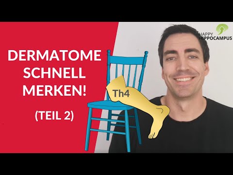 Memorize dermatomes in a flash (2/2): Safely memorize lumbar & sacral dermatomes with mnemonics