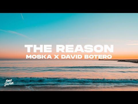 MOSKA, David Botero - The Reason