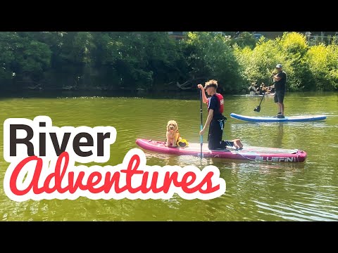 River Adventure: Unveiling the BlueFin Cruise SUP