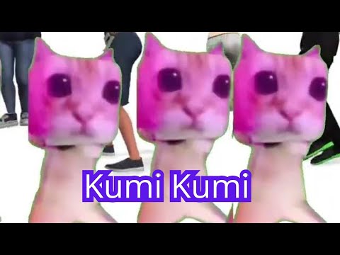 kumi kumi Haba Laka dance with Wolf @CiC-CatsisCats