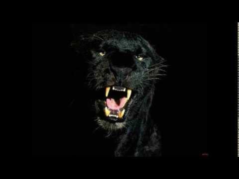 Heavy Feet ft. Peyote Mc - Rude Bwoi (Lee Mortimer Remix)