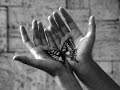 Michael McDermott - Butterfly