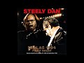 Steely Dan Live at the Starplex Amphitheater, Dallas - 1994 (full show, first night, audio only)