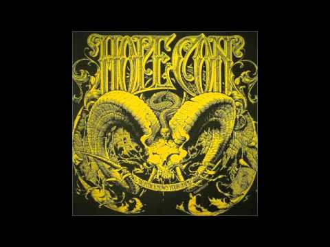 The Hope Conspiracy - So Many Pigs So Few Bullets