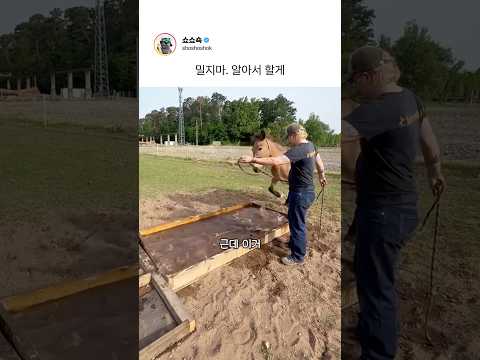 밀지마. 알아서 할게