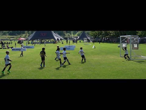 Proliance Tournament: Crossfire B2013 RCL 1 vs. Crossfire B2013 RCL 2