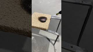 Fire Attack to Insulating Bio Panel BioBuildingBlock