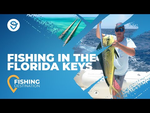 Fishing in the Florida Keys: An Angler's Guide | FishingBooker