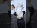 How To Bleach Hair Platinum Blonde White HairTutorial