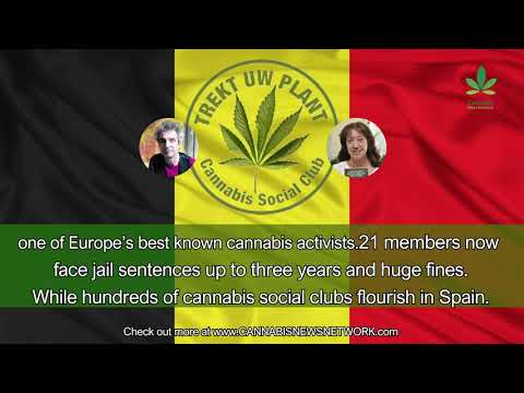 Newsbyte: Prosecutor wants 3 years jail for Belgium’s oldest cannabis social club Trekt Uw Plant