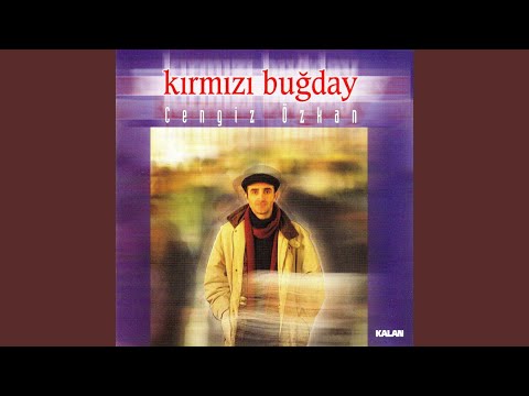 Kırmızı Buğday Ayrılmıyor Sezinden