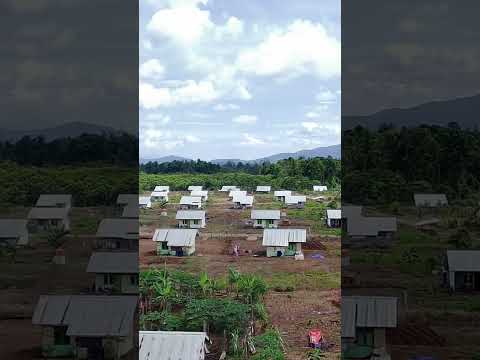 TRANSMIGRASI MAHALONA SULAWESI SELATAN