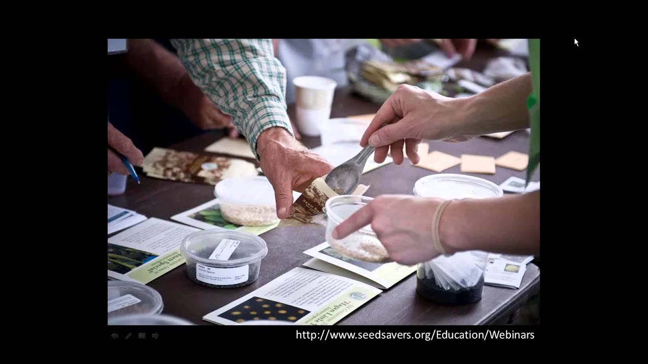 NCompass Live: Seed Saving for Libraries