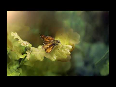 Szorongás és félelem elengedése meditációs gyakorlat