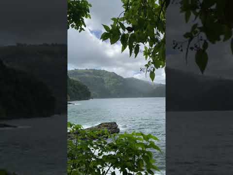 CYRIL BAY | TRINIDAD