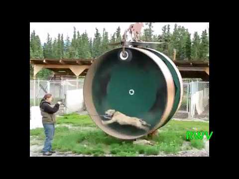 Win/Luck Compilation made in August 2012