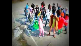 preview picture of video 'Harlem shake Enns Austria'