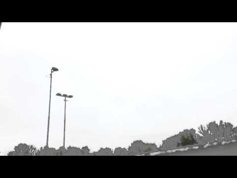 ASW F2 - Koudekerk F2 (07-11-2015)