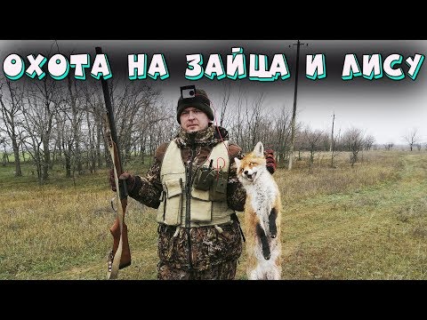 ОХОТА НА ЛИСУ. ОХОТА НА ЗАЙЦА. РОСТОВСКАЯ ОБЛАСТЬ. ОХОТА 2019. ЗАВАЛИЛИ ЛИСУ!