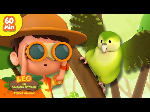 Witness21 Editor  2024 11 02