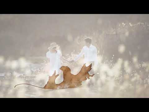 Chiếc lá mùa thu - Tuyết Mai