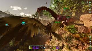 初心者の恐竜と共にまったり生きるっ #ARK