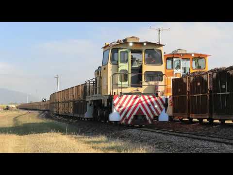 Australian Trains - Manic Monday on the 2ft, September 23rd 2019