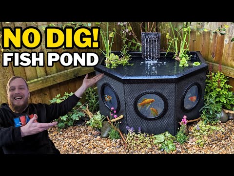 EASIEST fish pond for your garden! (A great home for goldfish)