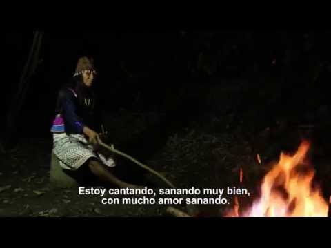 Tráiler SHIPIBOS KONIBOS: Hombres Monos, Hombres Peces