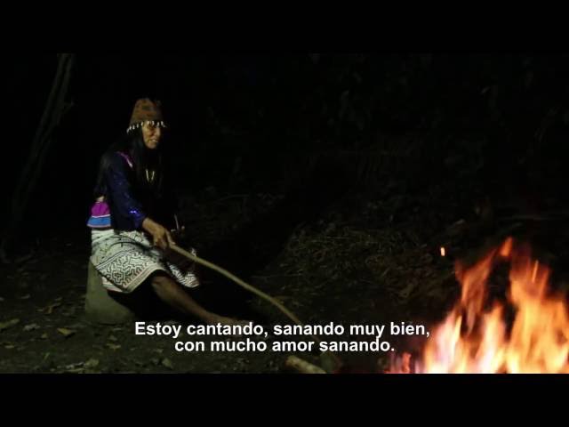 Tráiler SHIPIBOS KONIBOS: Hombres Monos, Hombres Peces