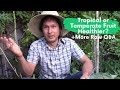 Is Tropical Fruit Healthier than Temperate Climate Fruit? & More Raw Food Q&A Is Tropical Fruit Healthier than Temperate Climate Fruit? & More Raw Food Q&A