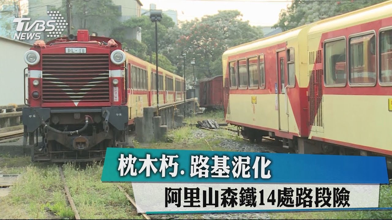 枕木朽、路基泥化！　阿里山森鐵14處路段險